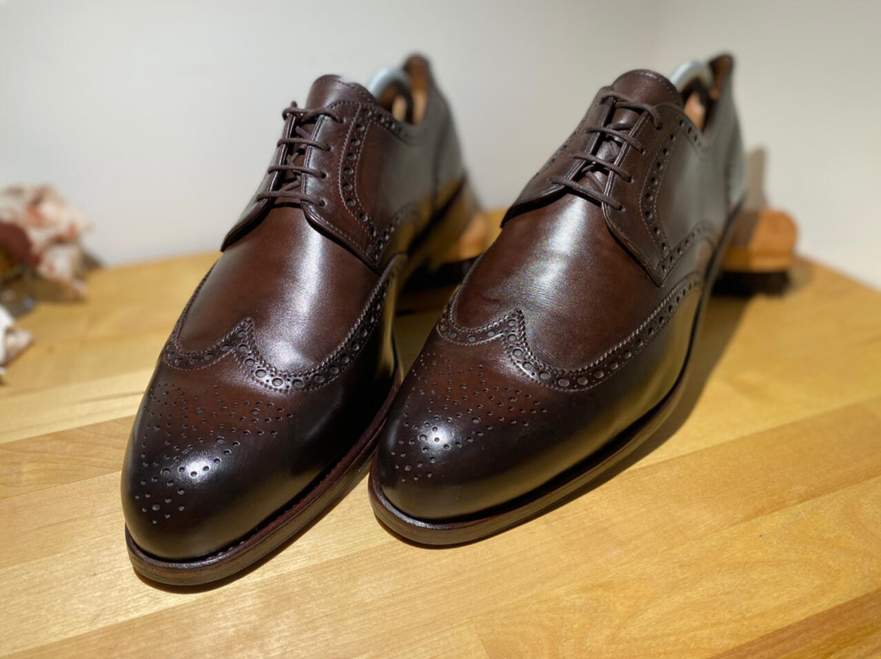 Carmina 2228 RAIN 815